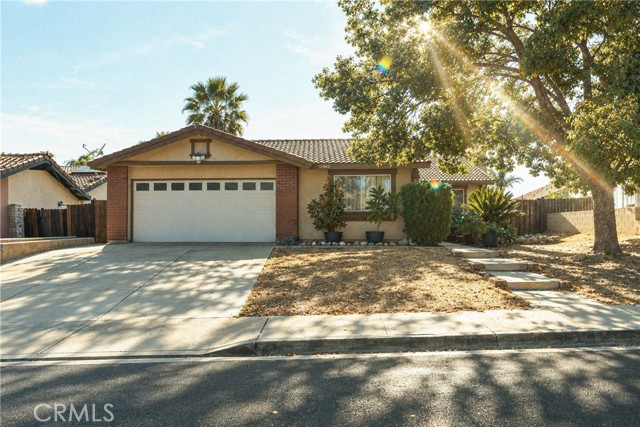 12863 Ninebark — photo