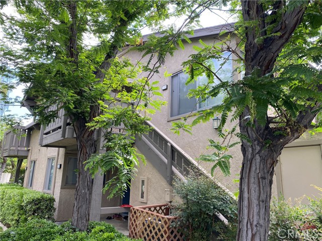 136 Echo Run — photo
