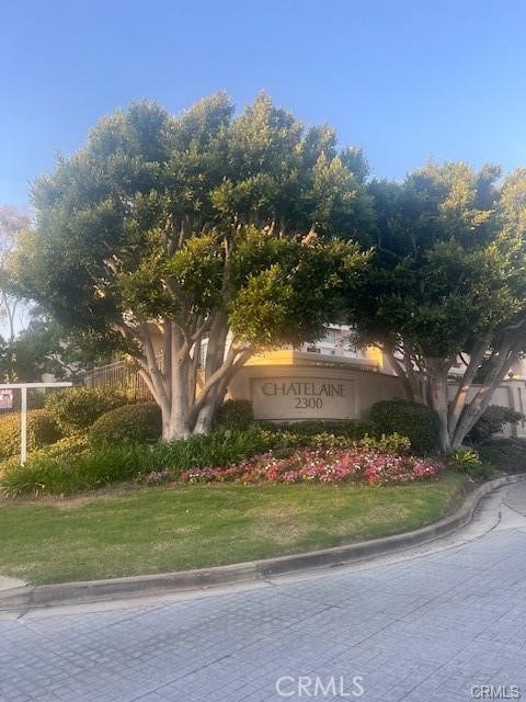 2300 Maple 16 — photo