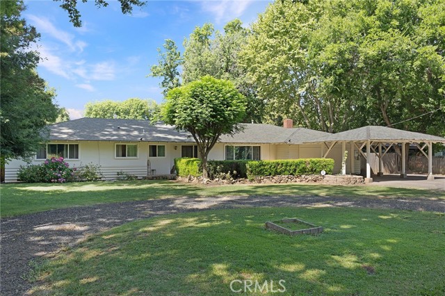 1915 Manzanita — photo