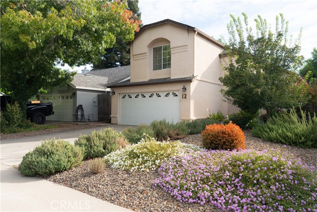 12 Towser — photo