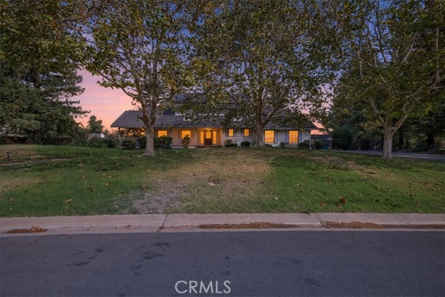 1453 Avocet — photo