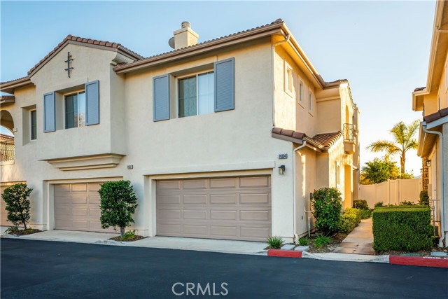 24332 Lorenzo — photo