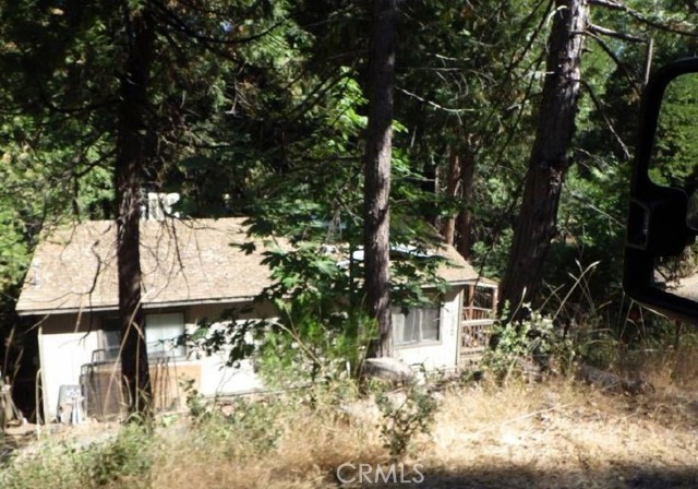 17166 Smokey River — photo