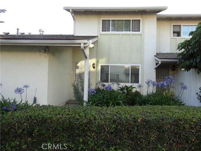 16741 Parthenia 3 — photo
