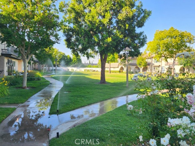 24223 La Glorita Cir — photo