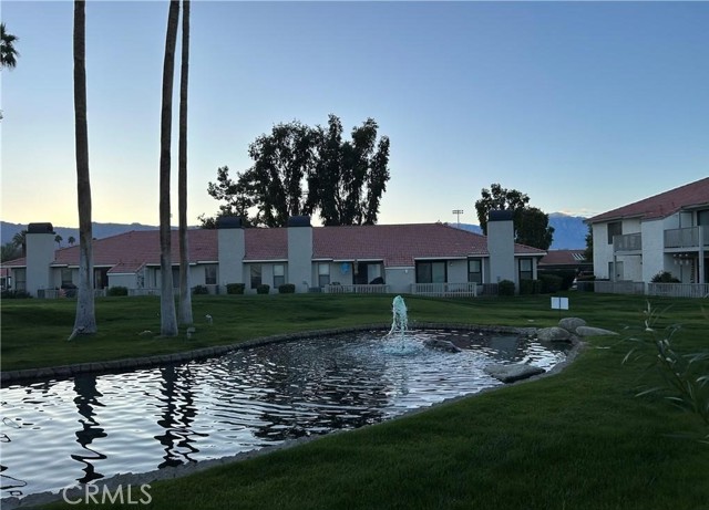 43376 Cook — photo