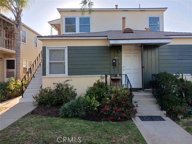 243 Dimmick — photo