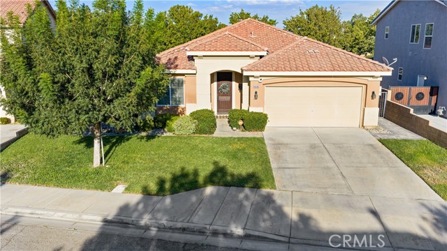 44340 Acacia — photo