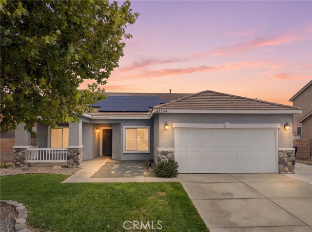 45344 Tiana Rose — photo