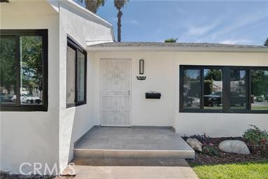 18234 Sugarman — photo