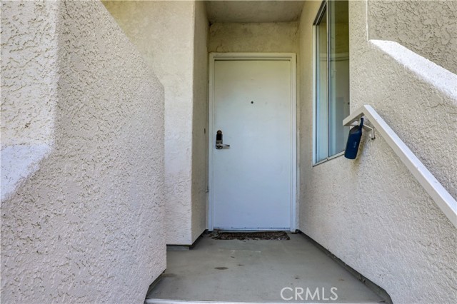 21309 Eucalyptus — photo