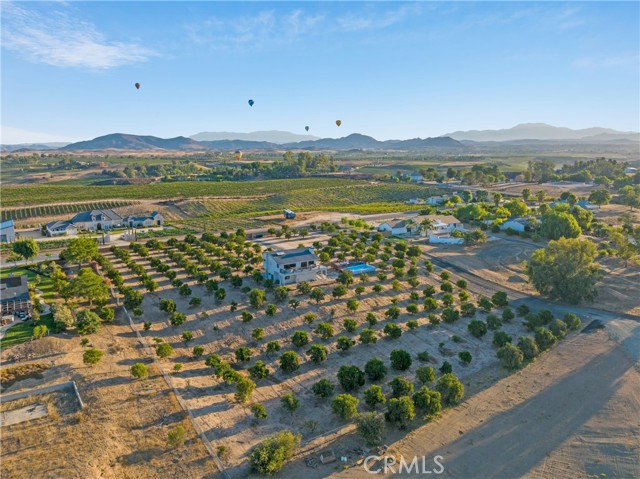 33851 Madera De Playa — photo