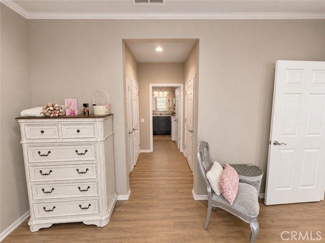 824 Coriander 502 — photo