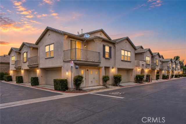 36341 Vincenzo — photo
