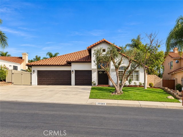 35584 Larkspur — photo