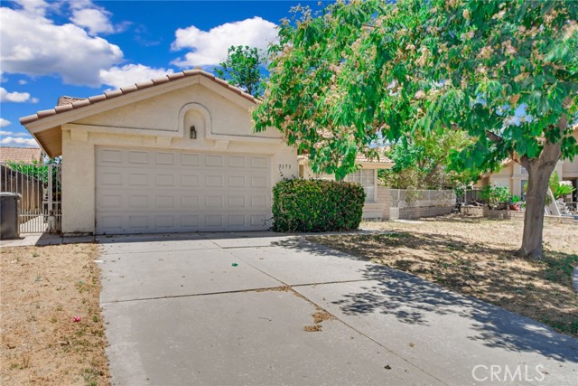 3173 Dave — photo