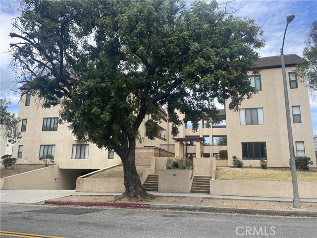 121 S Wilson 103 — photo