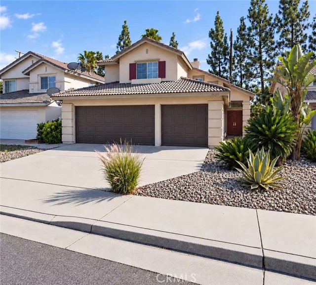 11551 Amelia — photo