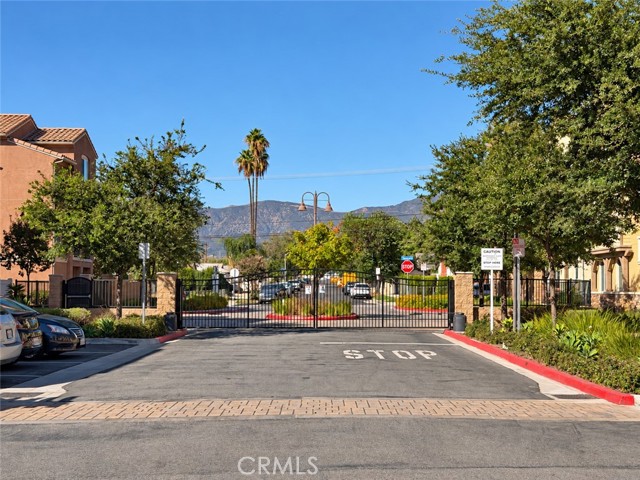 726 Banyan — photo