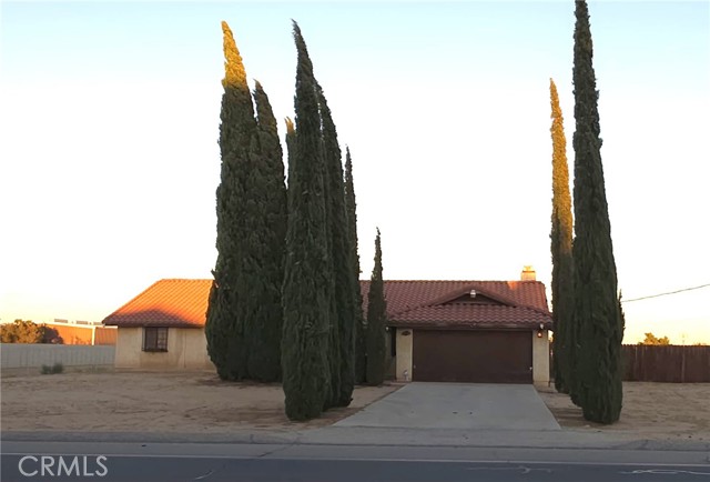 11845 Cottonwood — photo