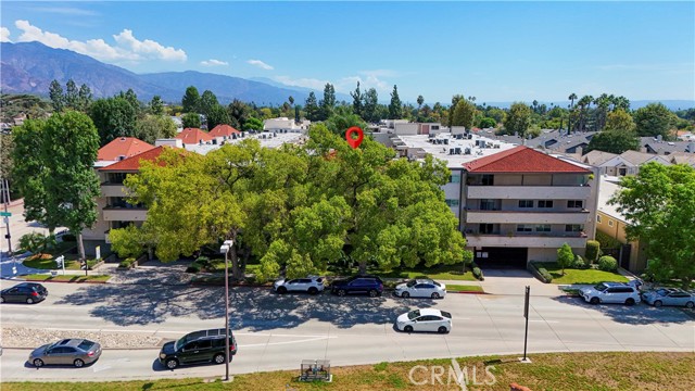 2386 E Del Mar Blvd 217 — photo