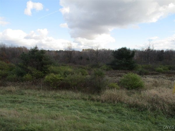 26908 US Rte 11 Highway — photo