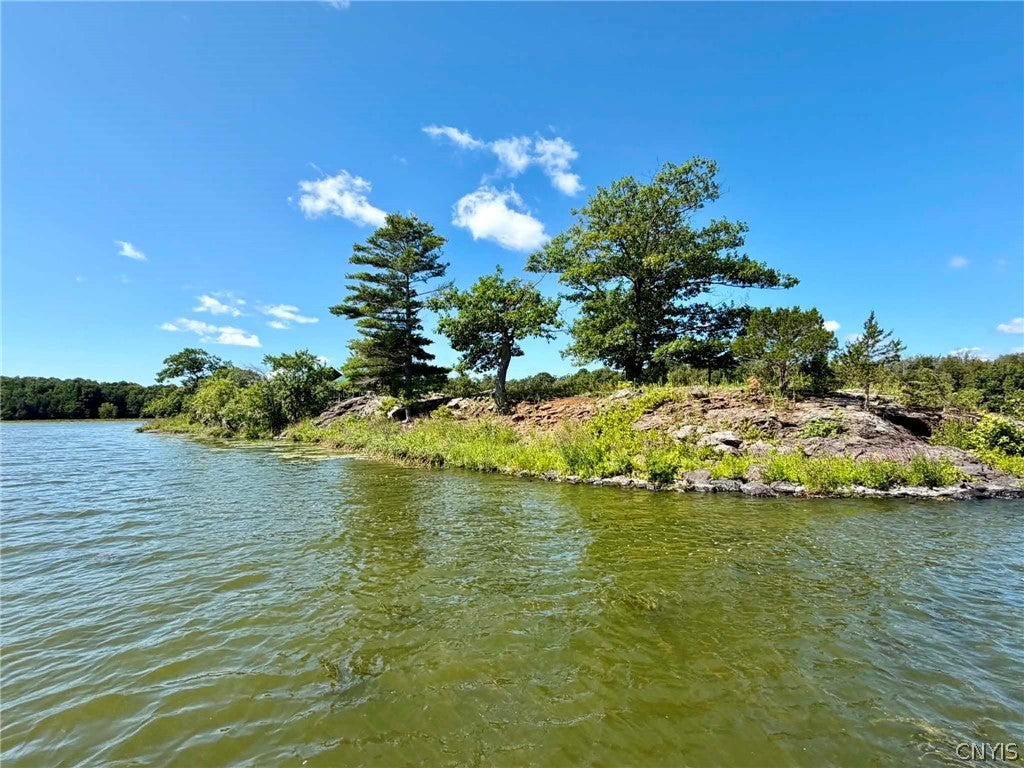 0 Snake Island — photo