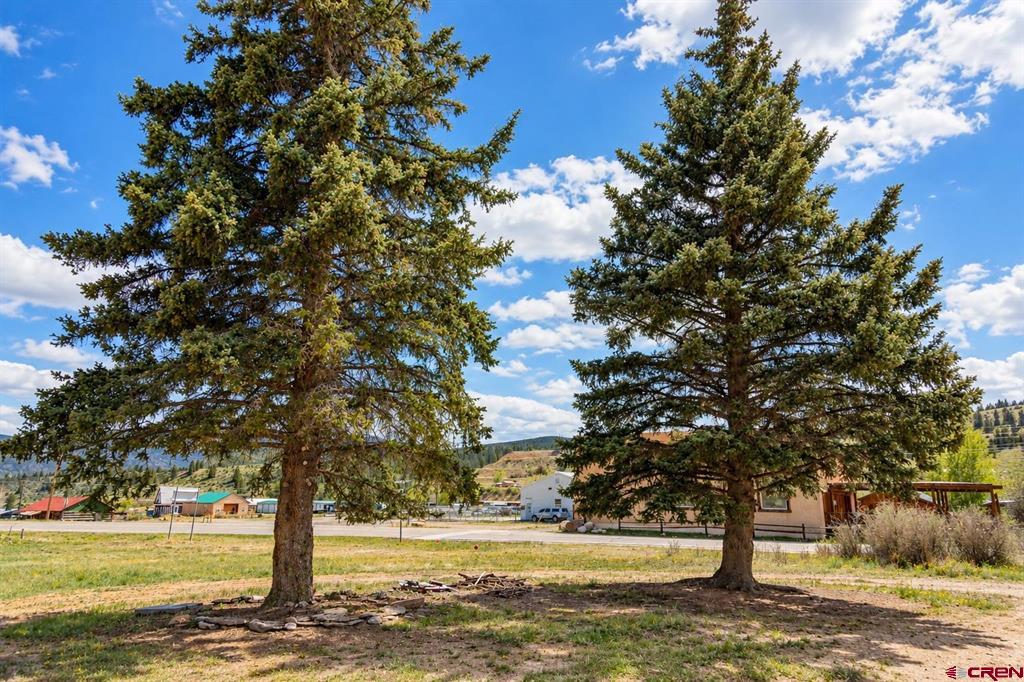 Home in Creede, CO 81130 — photo 3