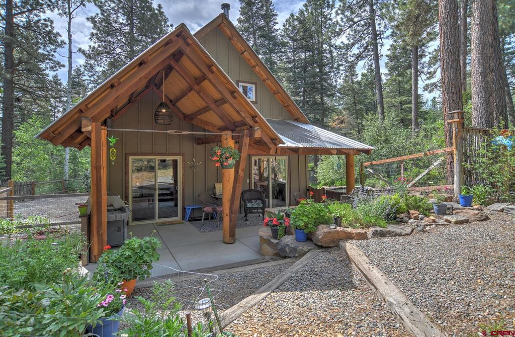 38 Lobo — photo