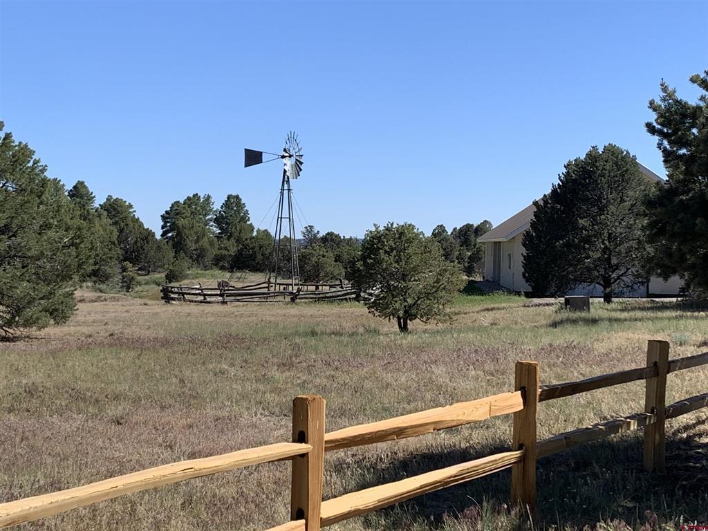61 Windmill — photo