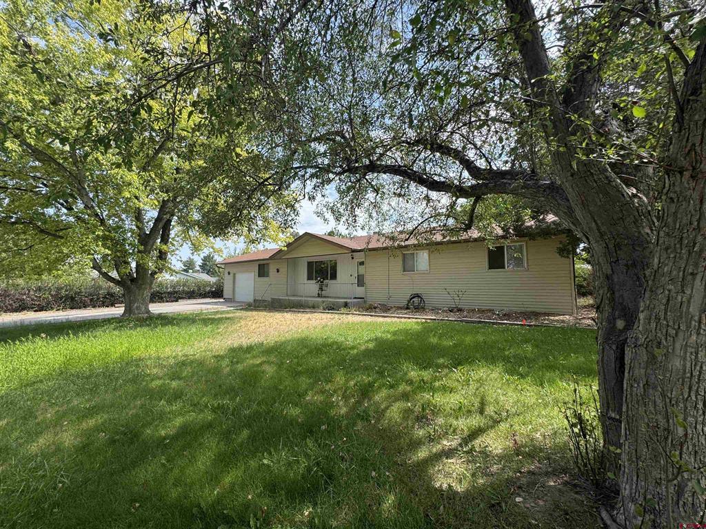 240 De Maria Road — photo