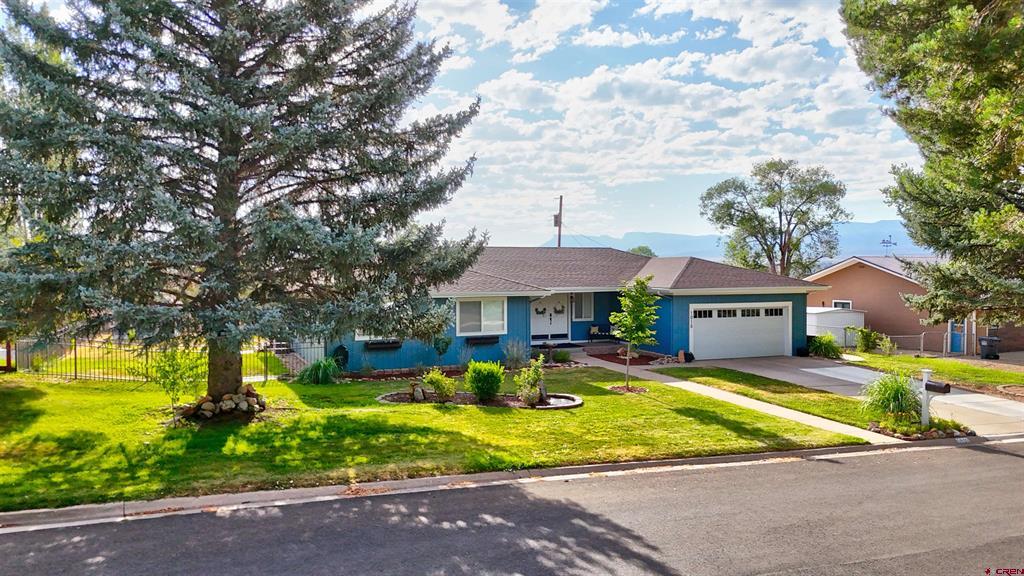 1010 S Cedar Street — photo
