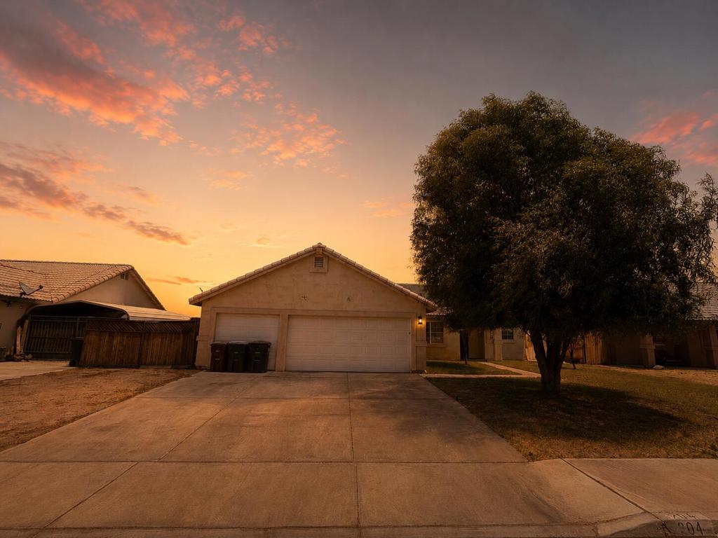 204 Shaded Palm — photo