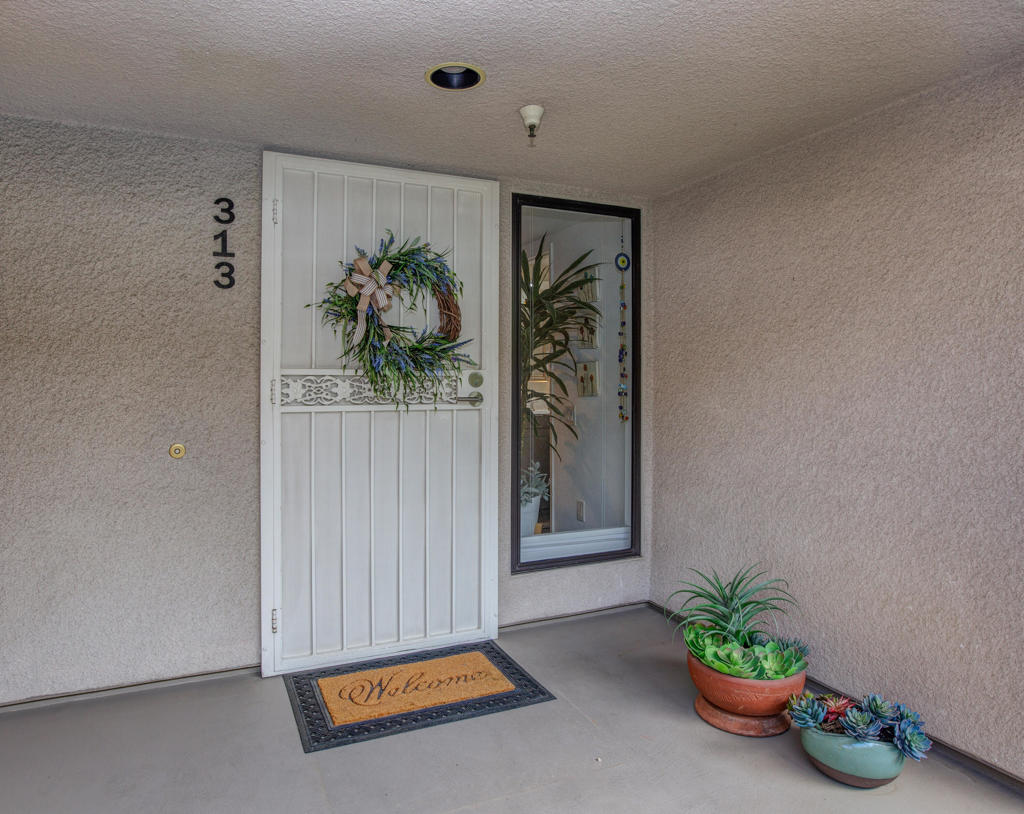 255 S Avenida Caballeros 313 — photo