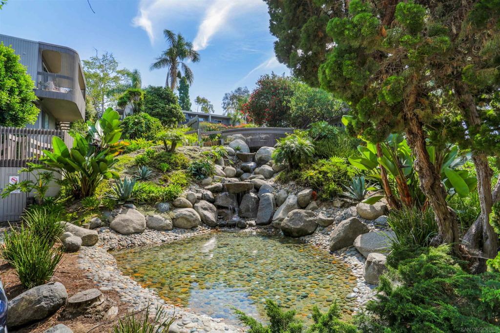 155 Rosebay 37 — photo