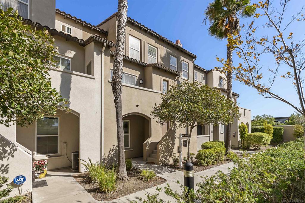 10505 Zenor 21 — photo