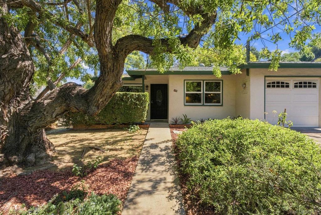 4011 Marron — photo