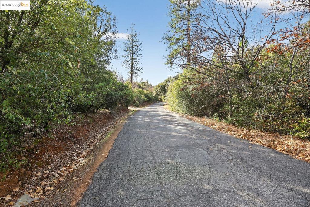 4544 Sheep Ranch Rd — photo
