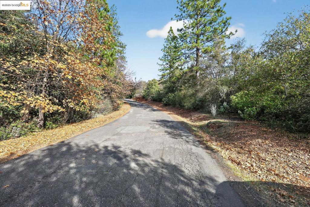 4544 Sheep Ranch Road, Murphys, CA 95247 — photo 3