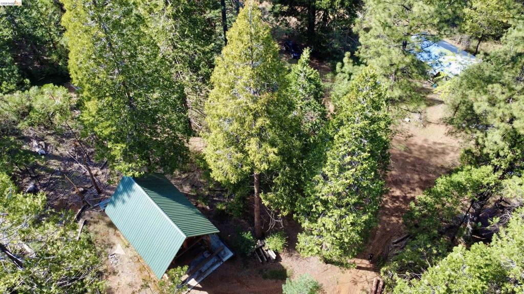 15780 Old Oak Ranch Road, Sonora, CA 95370 — photo 2