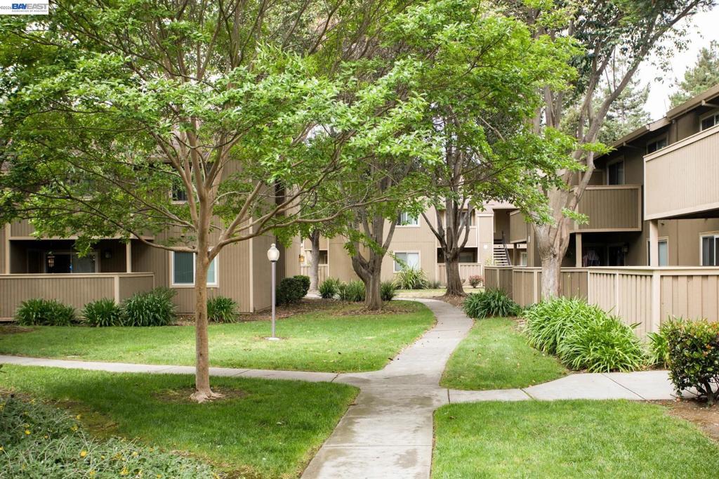 37315 Sequoia — photo