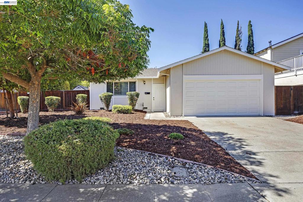 319 Elvira — photo