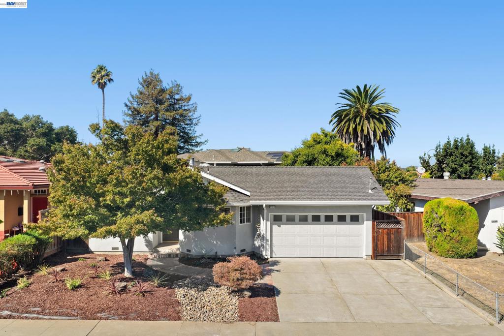 41519 Erma — photo