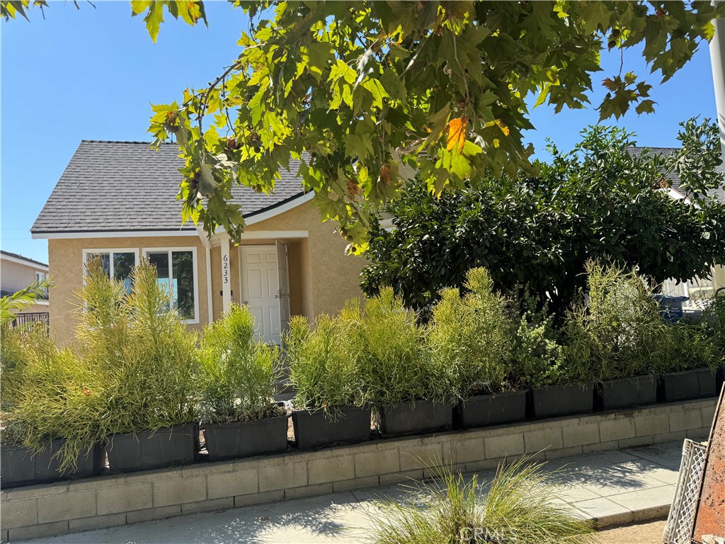 6233 Rosemead — photo