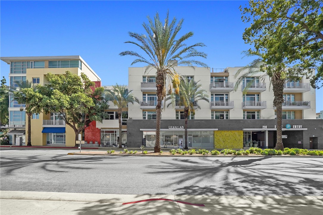 238 S Arroyo Pkwy Unit 203 — photo