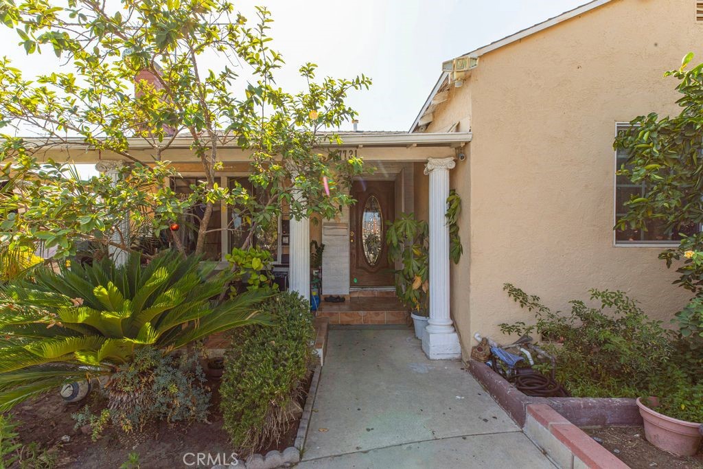 7731 Klump — photo