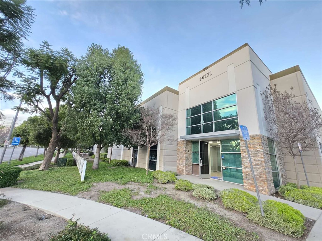 14171 Fern 6 — photo