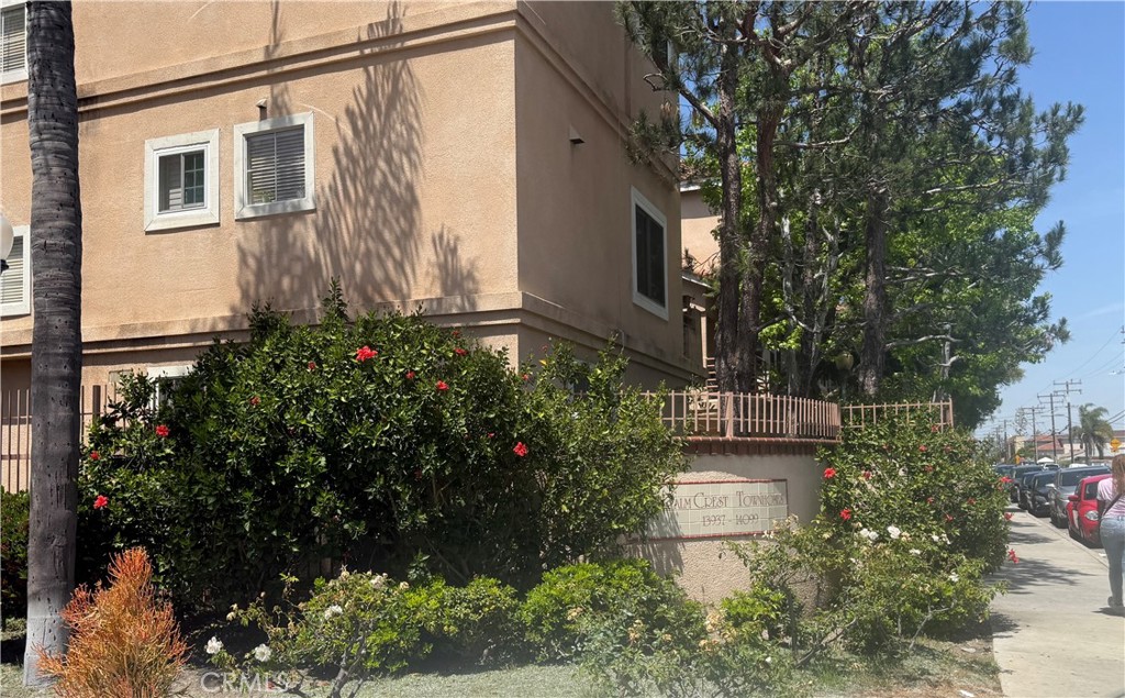 14053 Lemoli — photo