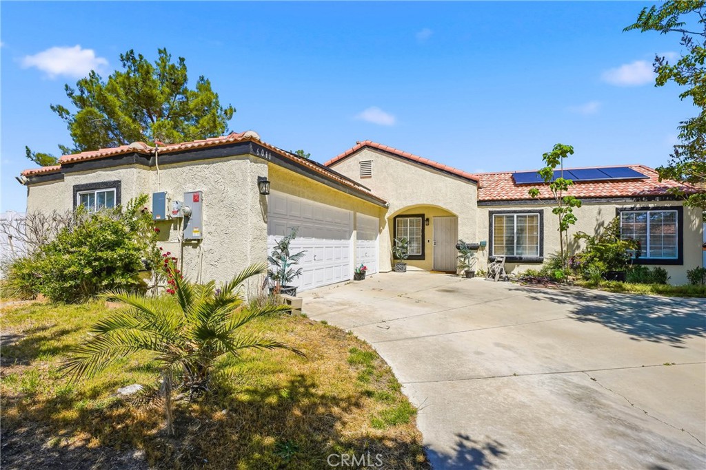 6011 Sandpiper — photo